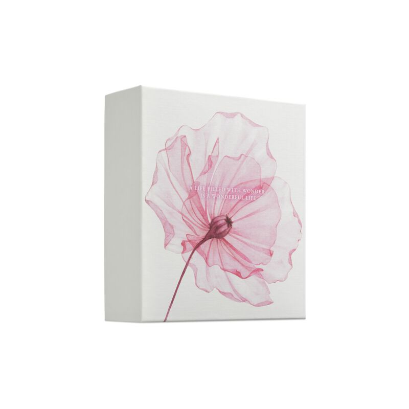rituals the ritual of sakura medium