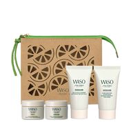 مجموعة واسو الأساسية faces مجموعة واسو الأساسية