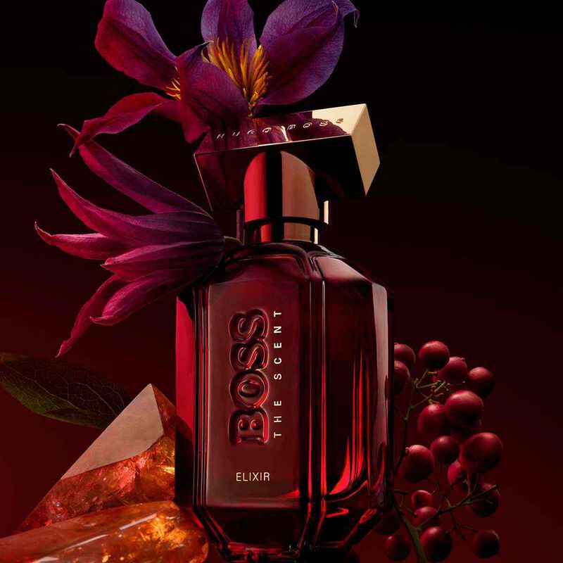 hugo boss the scent elixir parfum intense