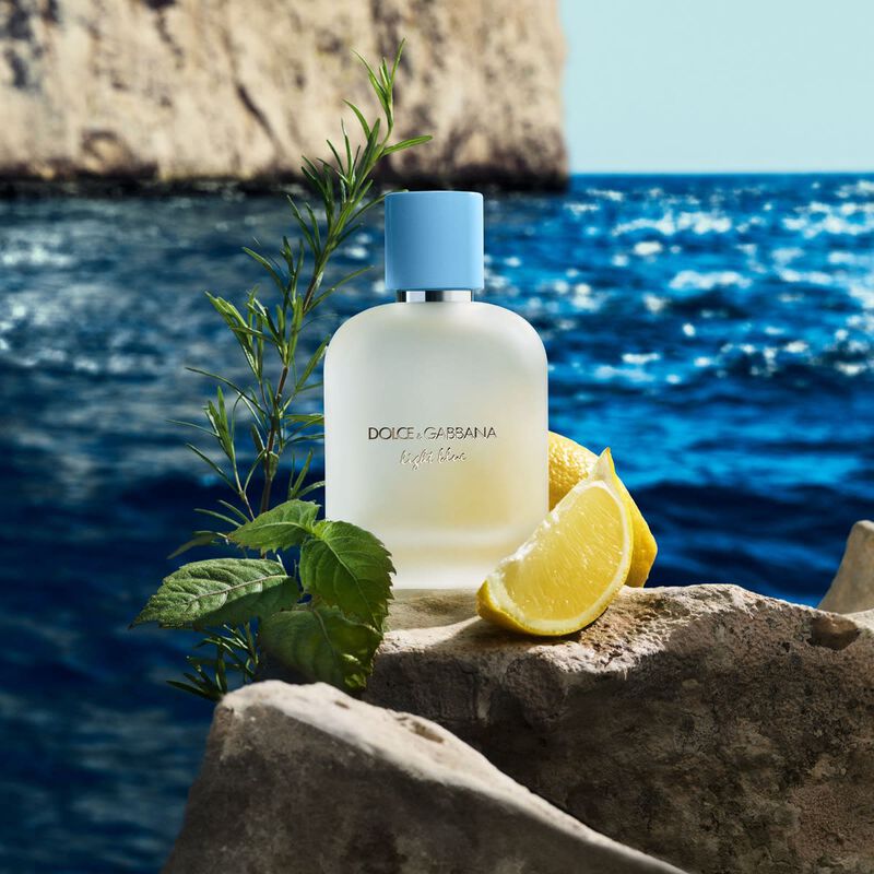 دولتشي أند غابانا عطر لايت بلو