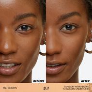 faces hd skin setting powder 3 1