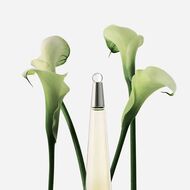 L'Eau D'Issey Spray Eau De Toilette faces l eau d issey spray eau de toilette