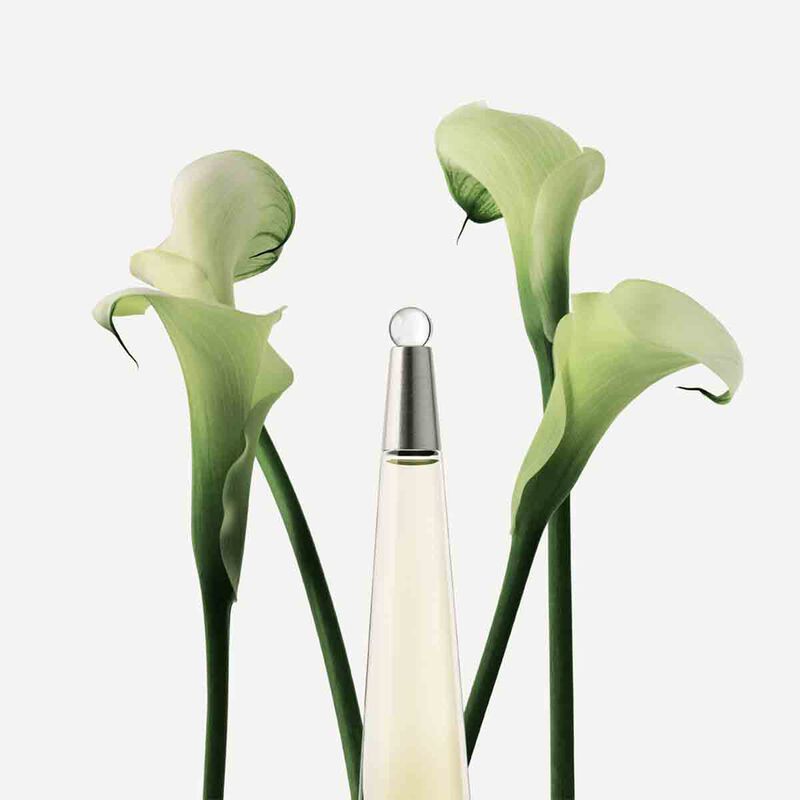 issey miyake l'eau d'issey spray eau de toilette