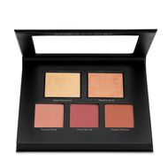 faces make me blush blush and highlighter palette