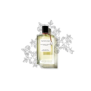 faces طقم فان كليف آند أربلز ٣ قطع كاليفورنيا ريفري   سانتال بلانك   مون لايت باتشولي للجنسين إدو دو برفيوم