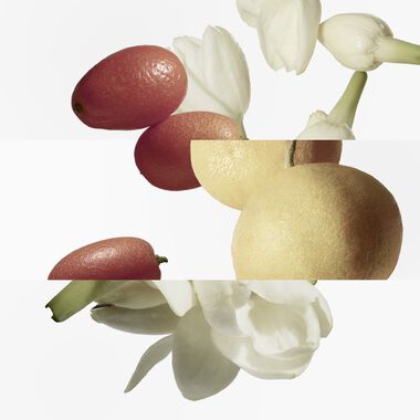 faces le jardin de monsieur li eau de toilette