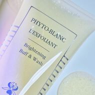 Phyto-Blanc Brightening Buff and Wash faces phyto blanc brightening buff and wash