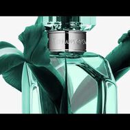 عطر انتينس أو دو برفان faces عطر انتينس أو دو برفان