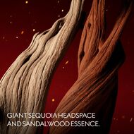 Alchemist's Garden Lignum Idealis faces alchemist s garden lignum idealis