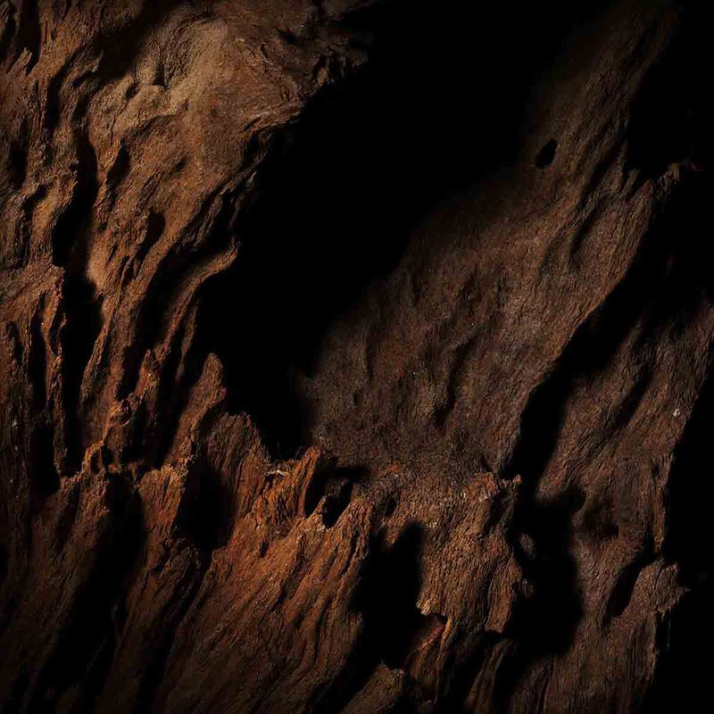 guerlain oud essentiel   eau de parfum 125ml