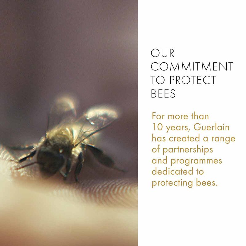 guerlain abeille royale fortifying lotion with royal jelly
