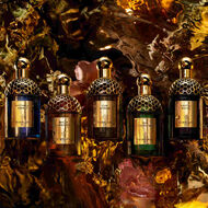 Absolus Allegoria Patchouli Ardent faces absolus allegoria patchouli ardent