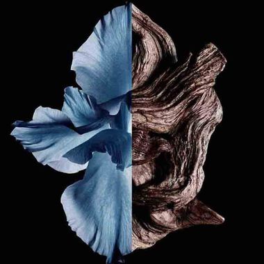 faces gentleman eau de toilette intense