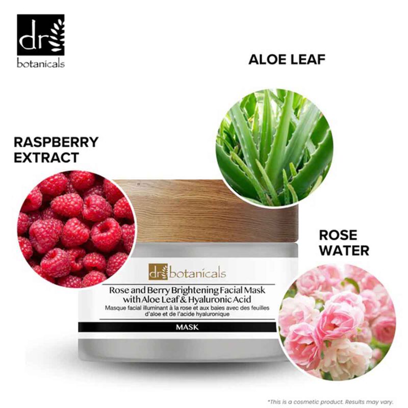 Rose And Berry Brightening Facial Mask With Aloe Leaf and Hyaluronic Acid dr. botanicals rose and berry brightening facial mask with aloe leaf and hyaluronic acid