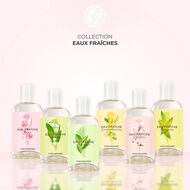 عطر ون كولكشن بالكرز المنعش faces عطر ون كولكشن بالكرز المنعش