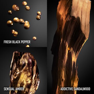 faces عطر إنفيكتوس فيكتوري أبسولو بارفان إنتنس