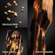 عطر إنفيكتوس فيكتوري أبسولو بارفان إنتنس faces عطر إنفيكتوس فيكتوري أبسولو بارفان إنتنس