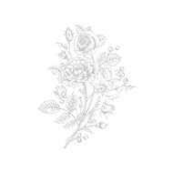 faces collection extraordinaire rose rouge edp 75ml