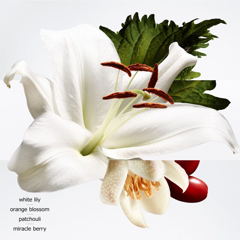 hermes barenia pleine fleur