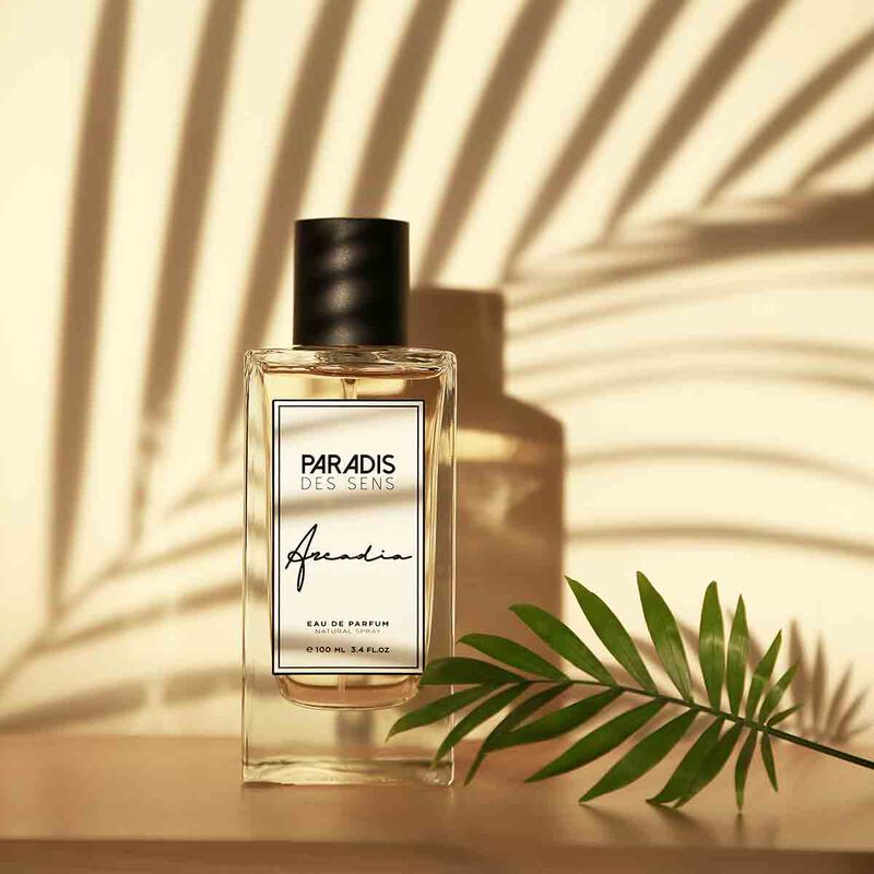 براديس دي سنس أركاديا أو دو برفان 100مل