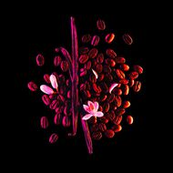 بلاك أوبيوم ستورم إيلوجن مجموعة الصيف 50مل faces بلاك أوبيوم ستورم إيلوجن مجموعة الصيف 50مل