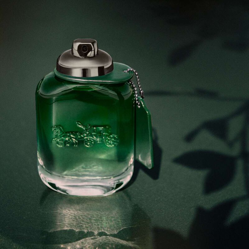 كوتش مجموعة عطر جرين الفاكهي