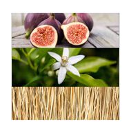 Calvin Klein One Gold Eau de Toilette 100ml faces calvin klein one gold eau de toilette 100ml