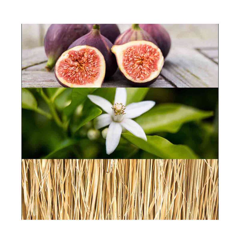 calvin klein calvin klein one gold eau de toilette 100ml