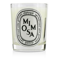 faces mimosa candle