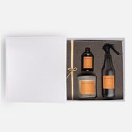 مجموعة العود faces مجموعة العود