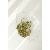 faces غسول البرقوق الأخضر المنعش