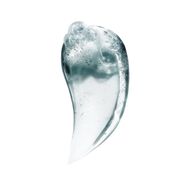 faces scalp advanced anti oiliness shampoo