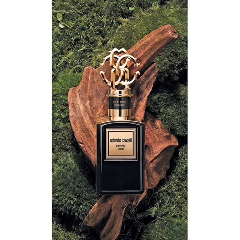 roberto cavalli noble woods