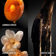faces عطر أوليمبيا أبسولو بارفان إنتنس