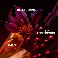 faces the scent elixir parfum intense