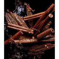 faces born to be unforgettable