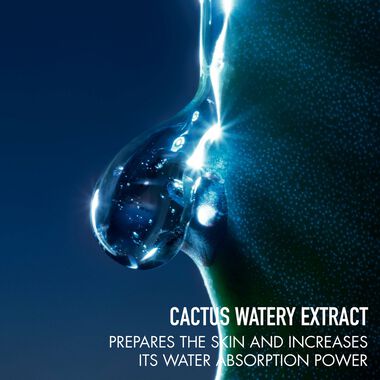 faces غسول سوفاج للوجه