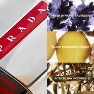 faces luna rossa sport eau de toilette