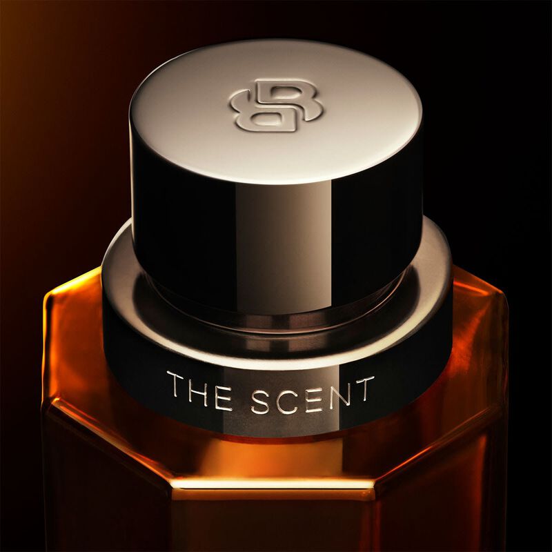 hugo boss boss the scent intense