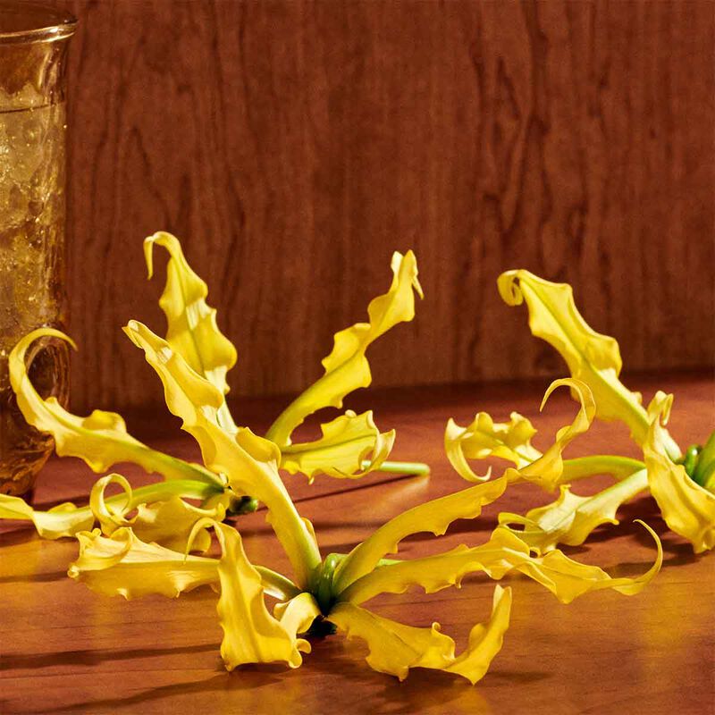 عطر غيلتي إنتينس أو دو برفان للنساء غوتشي عطر غيلتي إنتينس أو دو برفان للنساء