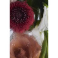 مجاناً معطر الجسم والشعر من هيزروز faces مجاناً معطر الجسم والشعر من هيزروز