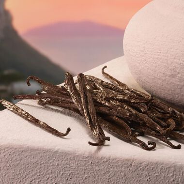 faces my devotion intense