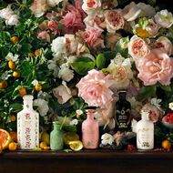 faces the alchemist s garden where my heart beats eau de parfum