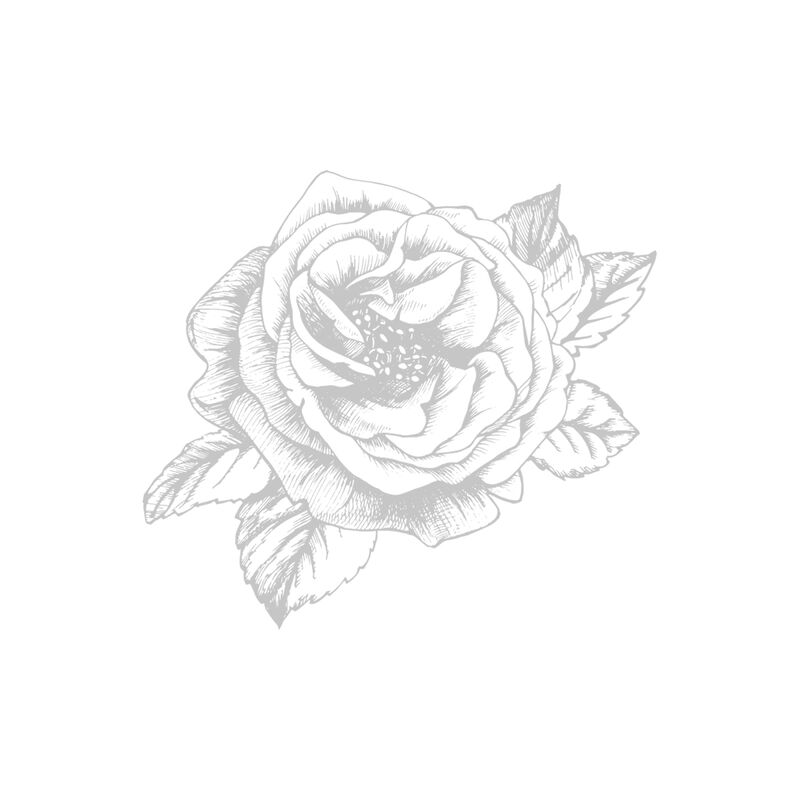 فان كليف اند اربلز مون لايت روز