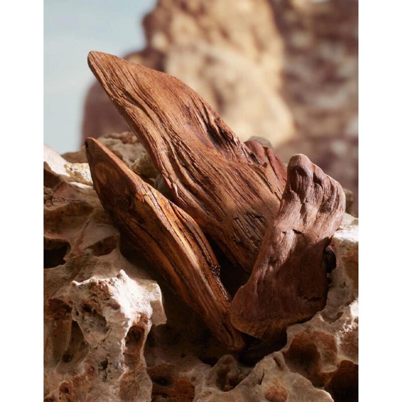 دولتشي أند غابانا dg k parfum 50ml