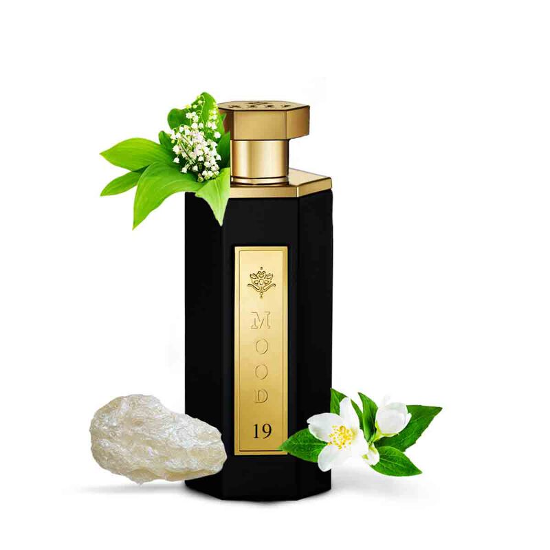 MOOD 19 reef perfumes mood 19