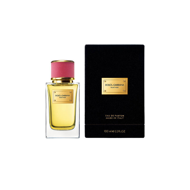Velvet Rose dolce & gabbana velvet rose