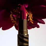 Phyto-Rouge Velvet faces phyto rouge velvet
