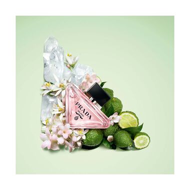 faces عطر بارادوكس الوردة الافتراضية