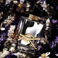 faces libre absolu platine